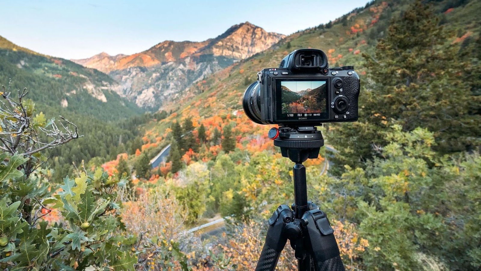 You are currently viewing Peak Design Tripod: A Comprehensive Review